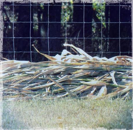 A good funeral, part 1