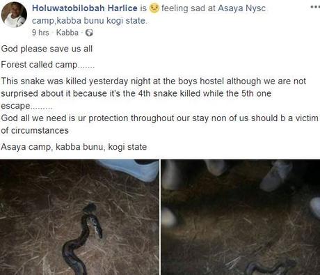 Panic In Kogi NYSC Camp As Corps Members Kill 4th Snake At Night (Photos)