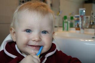 Image: Baby Brushing Teeth, by Jenny Friedrichs on Pixabay