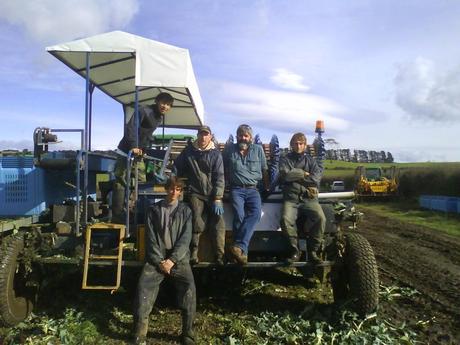 Pracujące Poniedziałki: The Craziest 10 Jobs I Had In My Life Pracujące Poniedziałki: The Craziest 10 Jobs I Had In My Life