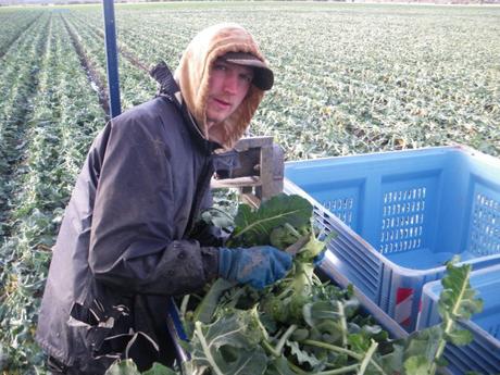 Pracujące Poniedziałki: The Craziest 10 Jobs I Had In My Life Pracujące Poniedziałki: The Craziest 10 Jobs I Had In My Life
