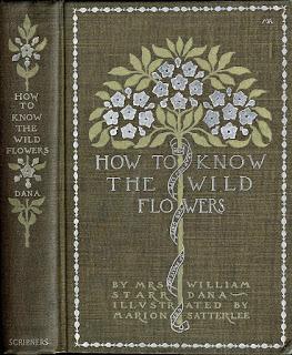 From Art Nouveau to Wildflowers