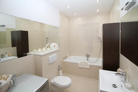 Top 10 Toilet Cleaning Tips Top 10 Toilet Cleaning Tips
