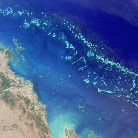 Nat Geo Says Half of Great Barrier Reef is Now Dead