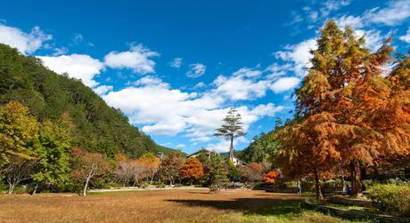 4 Seasons of Taiwan And The Differences They Offer to the Travellers?