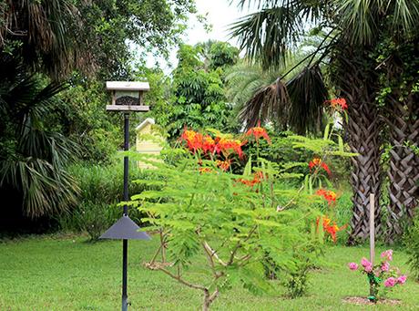 weathered wood bird feeder and stand