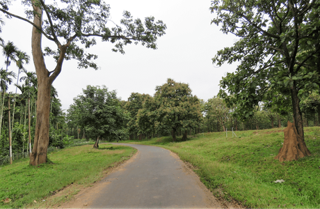 Sterling Wayanad: of flora, fun, fascinating moments and fond memories