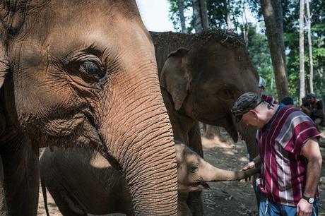 A Day at an Elephant Sanctuary in Chiang Mai