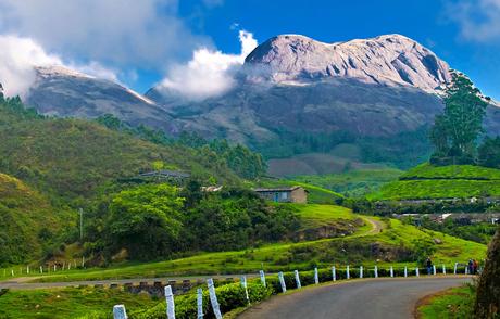 munnar tour packages 