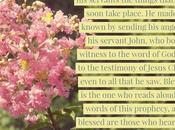 Book Revelation Should Energizing Reviving Christian