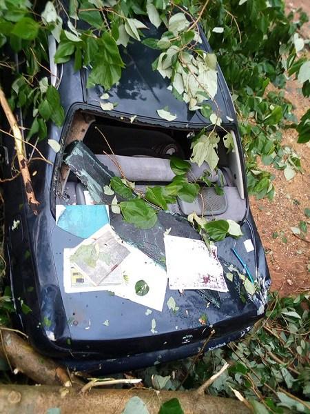 Nasarawa Lawmaker Escapes Death After Huge Tree Fell On His Vehicle (See Photos)