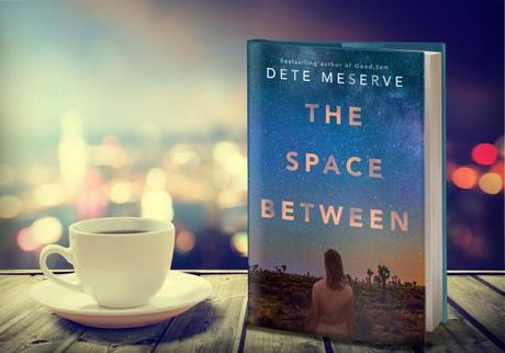 The Space Between by Dete Meserve