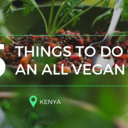 5 Things to do on an all vegan trip to Kenya #Vegan #Travel #Kenya