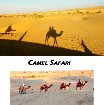 Camel Safari, Thar Desert Jaisalmer