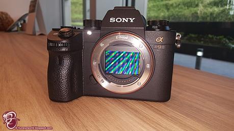 Here Are Something About Sony A9 That I Want You To Know...