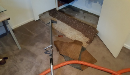 What To Anticipate From A Water Damage Restoration Company?