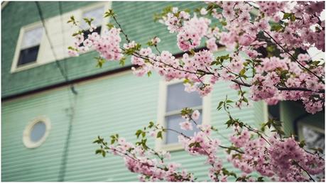 5 Green Home Improvement Ideas to Increase Your Home’s Energy Efficiency 5 Green Home Improvement Ideas to Increase Your Home’s Energy Efficiency