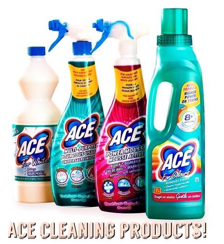 House cleaning with Ace