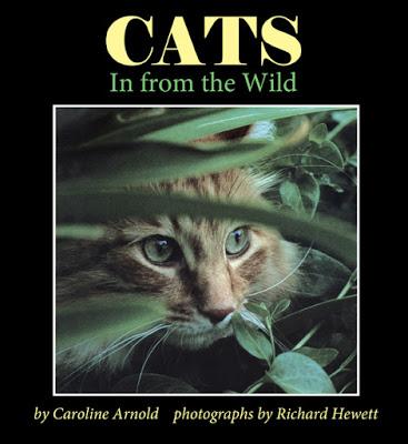 CATS: In from the Wild now Available as an e-Book