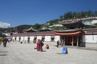 Experiencing Kindness at Ta'er Monastery, Xining