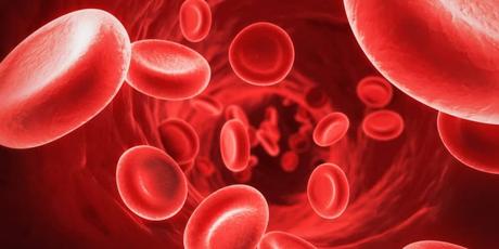 8 Foods that boost blood cells in your Body