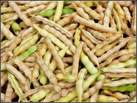 The Shelling Beans are shelled.