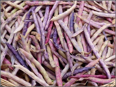 The Shelling Beans are shelled.