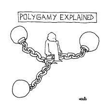 The polygamy problem