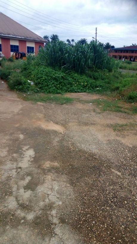 “Dirty Toilets, Overgrown Grasses” – Student Posts Pictures Of Madonna University