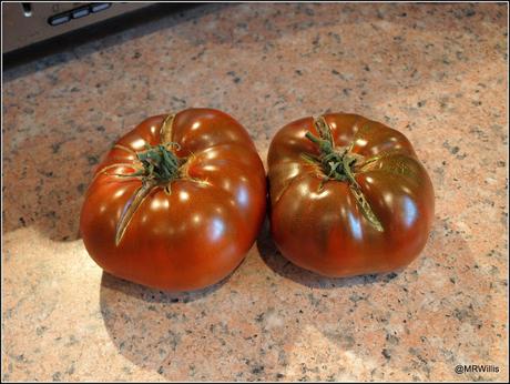 Not all tomatoes are red