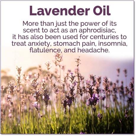 Lavender Oil Uses
