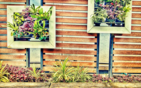 Home Decor: A garden for every space