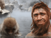 Climate Drove Neanderthals Evolve Like Monkeys