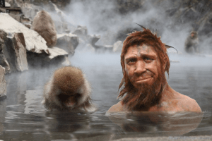 Climate drove Neanderthals to evolve like monkeys