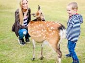 Family Road Trip With Days Maidstone, Winchester, Southampton Westerham