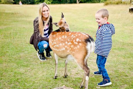 A Fun Family UK Road Trip With Days Inn - Maidstone, Winchester, Southampton and Westerham