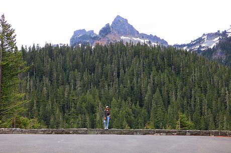 Mount Rainer Tanvii.com