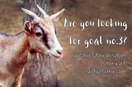 Are you looking for goat no.3? #WednesdayWisdom