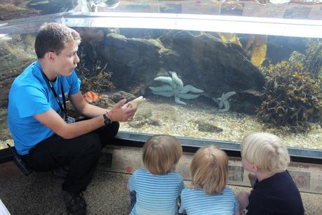 Our Day At National Marine Aquarium Plymouth: Devon Days Out