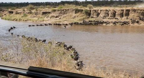 Incredible Africa: Serengeti State of Mind