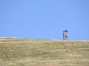 POEM: Curious Tower Sonnet]