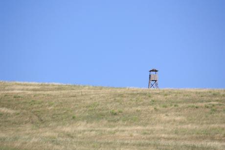 POEM: The Curious Tower [a Sonnet]