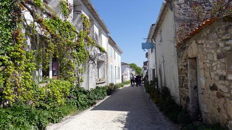 Gironde estuary cycle tour 2/4: Mirambeau alt=