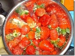 strawberries from Trentino 1