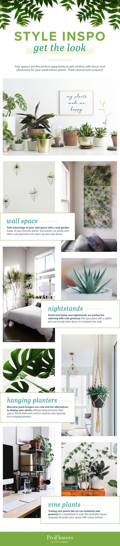 small indoor plants styling tips