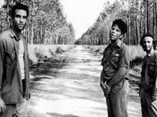 Favorite Movies She's Gotta Have Down