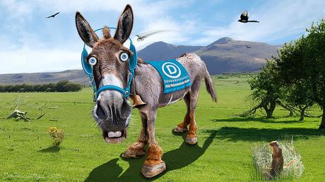 Democrats Change Party Rules To Please The Berniecrats