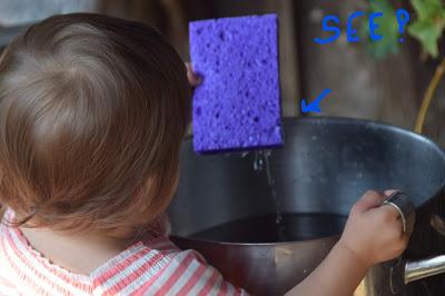 Hydrology 101 with Josie