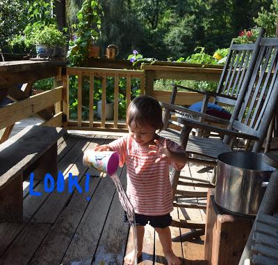 Hydrology 101 with Josie