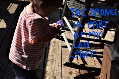 Hydrology 101 with Josie